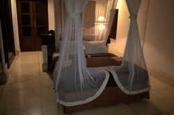 WP 20170404 23 44 34 Pro